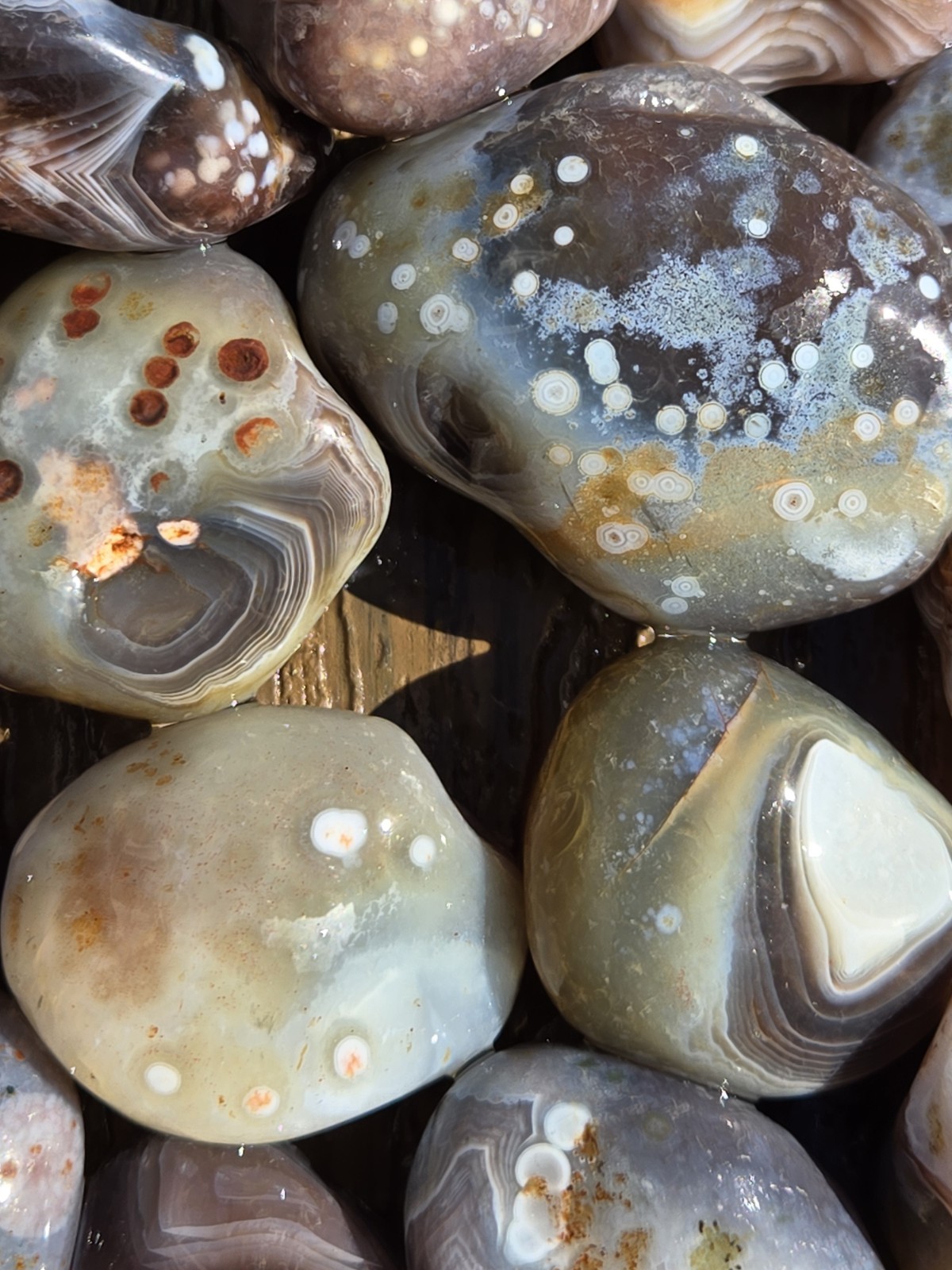 Botswana Agate Selects - DOTS AND SPOTS - Rough, Natural, Not Polished A+ Grade