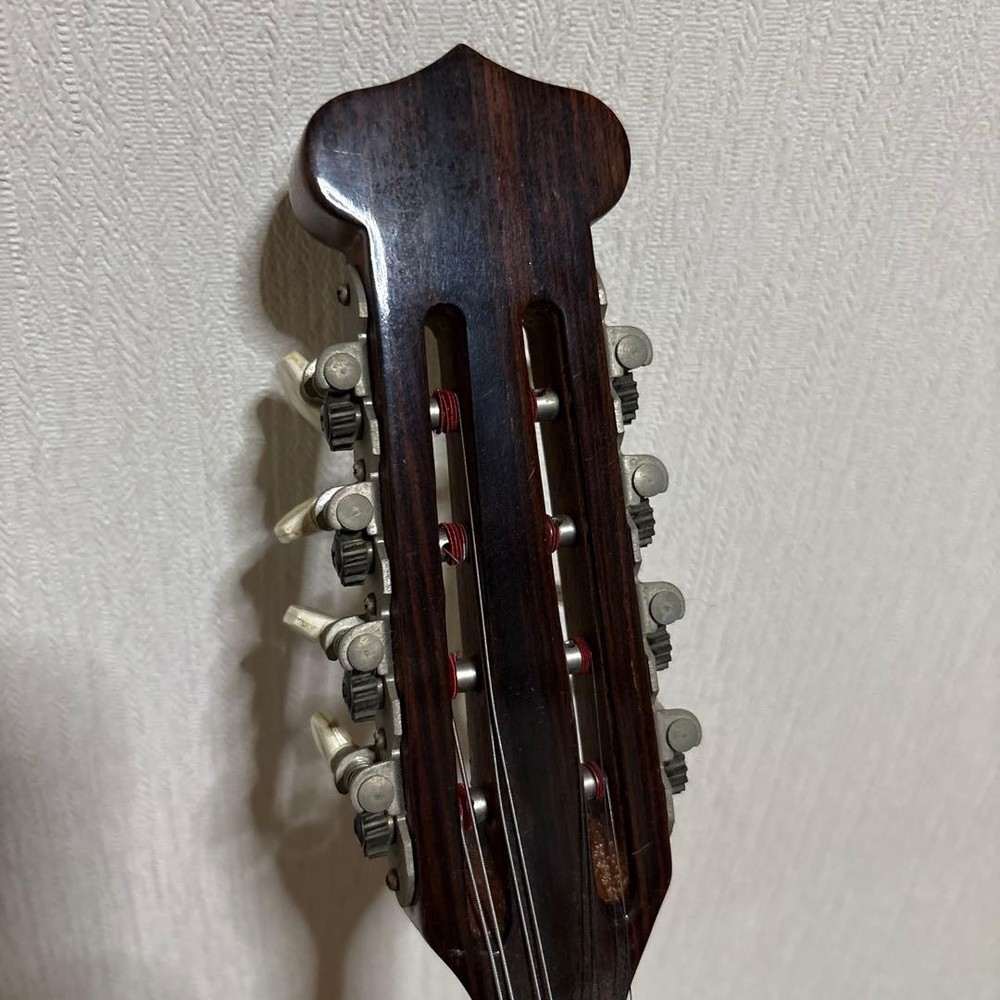 Raffaele Terada Musical Instruments High End Mandolin RM-3 String Used From JPN