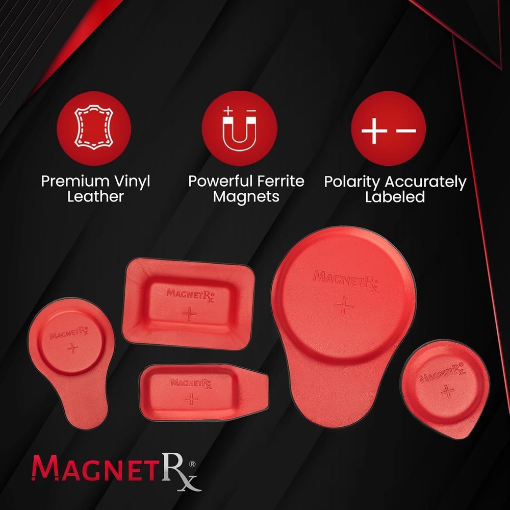 MagnetRX Biomagnetic Therapy Magnets Kit (22 Mixed Units)