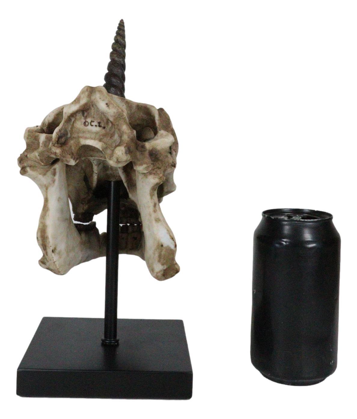 Rare Fossil Unicorn Skull With Sacred Horn Skull Figurine On Museum Pole Mount