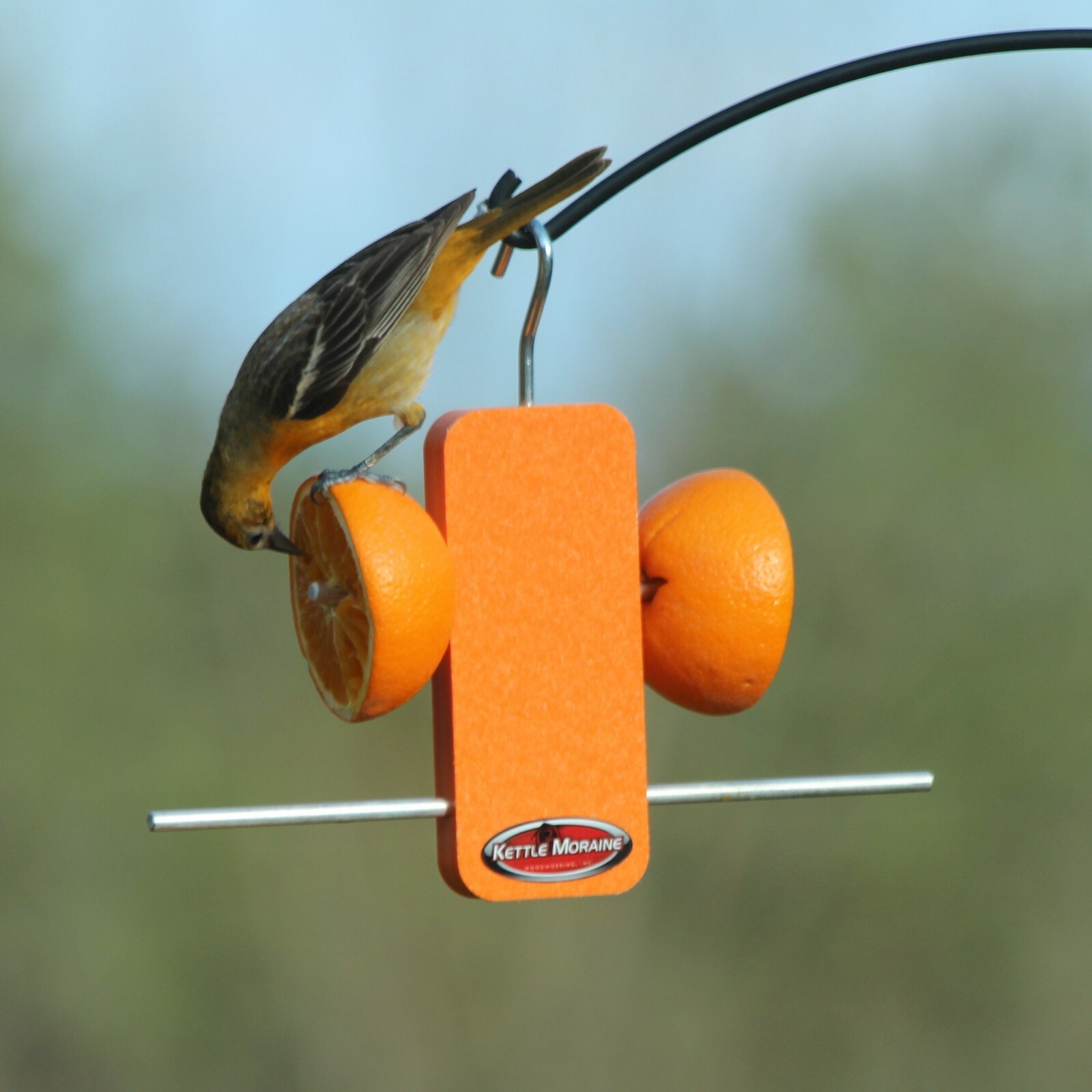 Kettle Moraine Recycled Plastic Single Oriole Orange Fruit Stick Feeder #8337