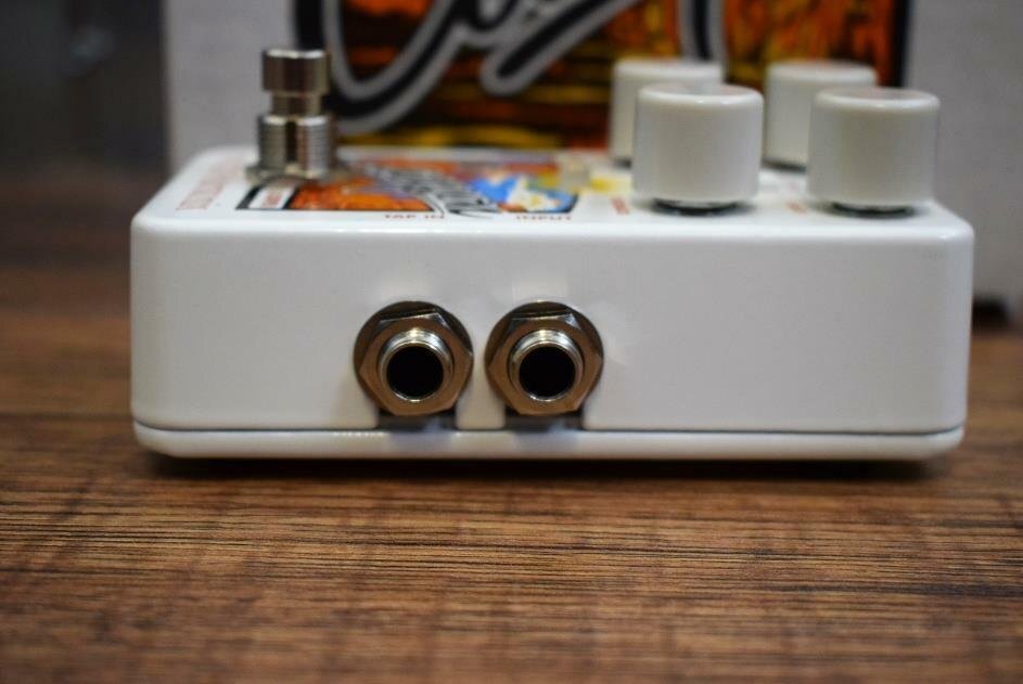 Electro-Harmonix EHX Canyon Delay & Looper Guitar Effect Pedal & AC Adapter