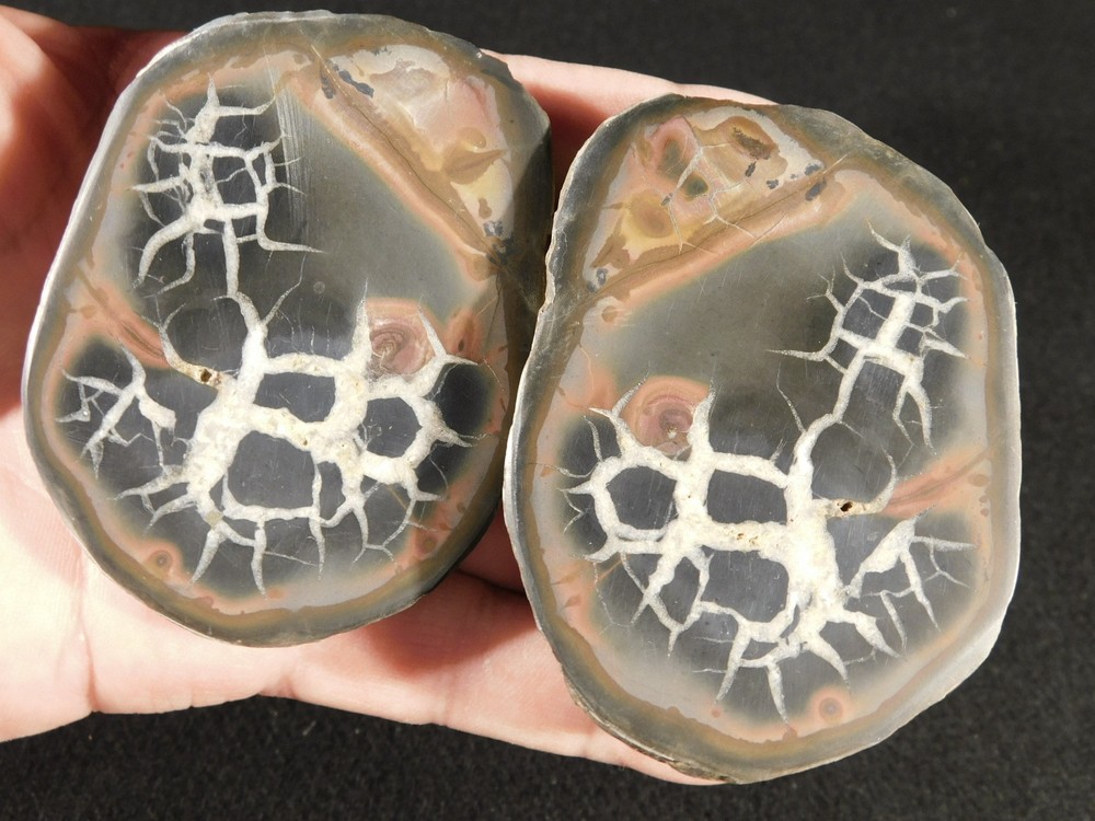 Neat Lighting Like Pattern! Split and Polished SEPTARIAN Nodule Morocco 253gr