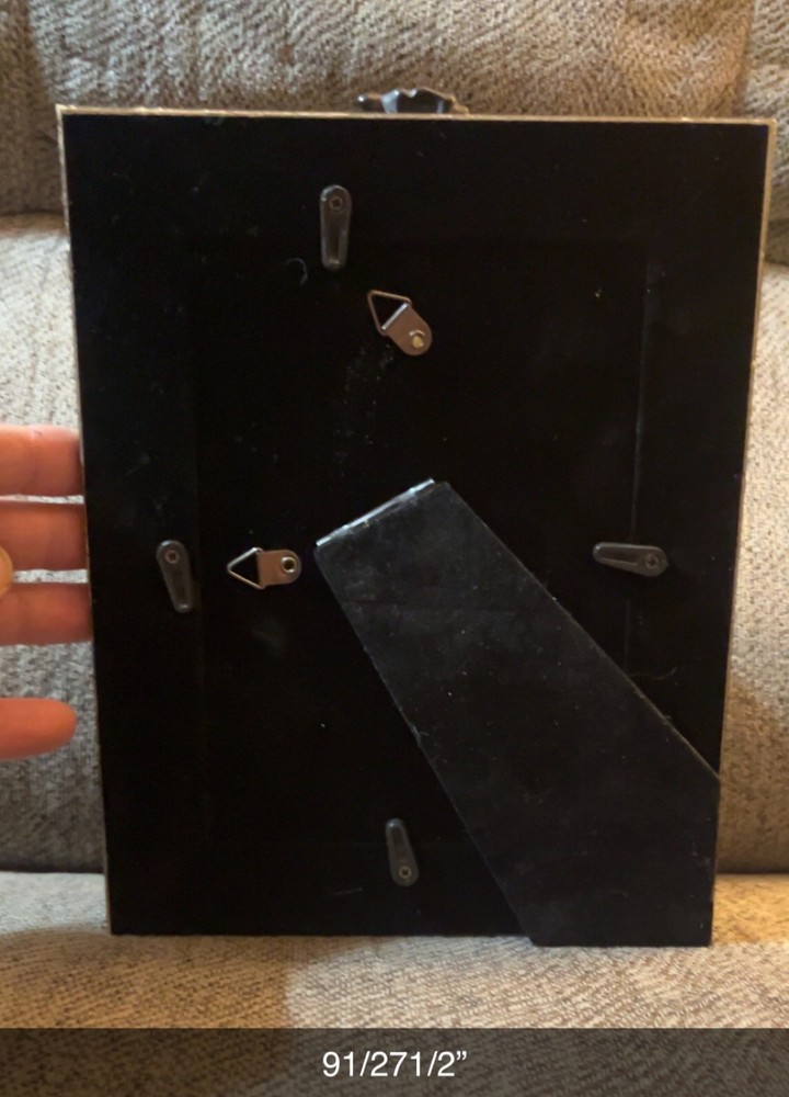 Cow Creature Vertebrae Bone Oddity OOAK Sideshow Gaff