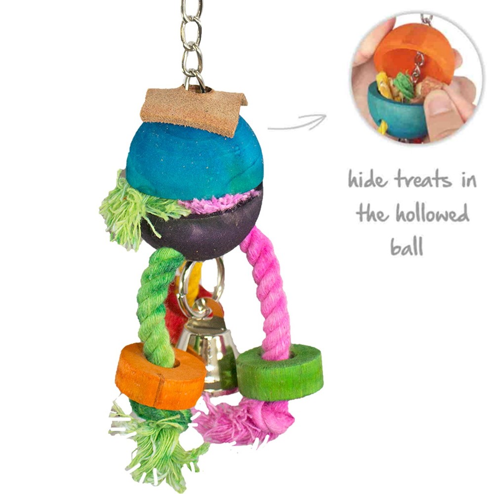 Cage Enhancement Set (Premium) - Interactive Climbing Foraging Accessory