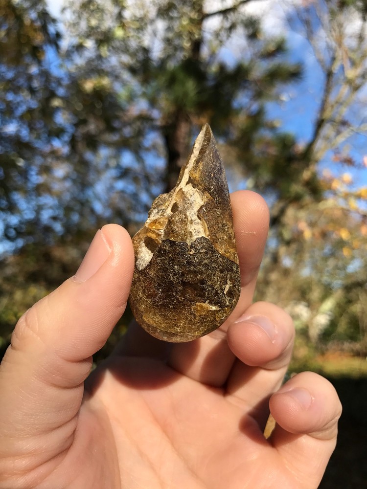 Baltic Amber