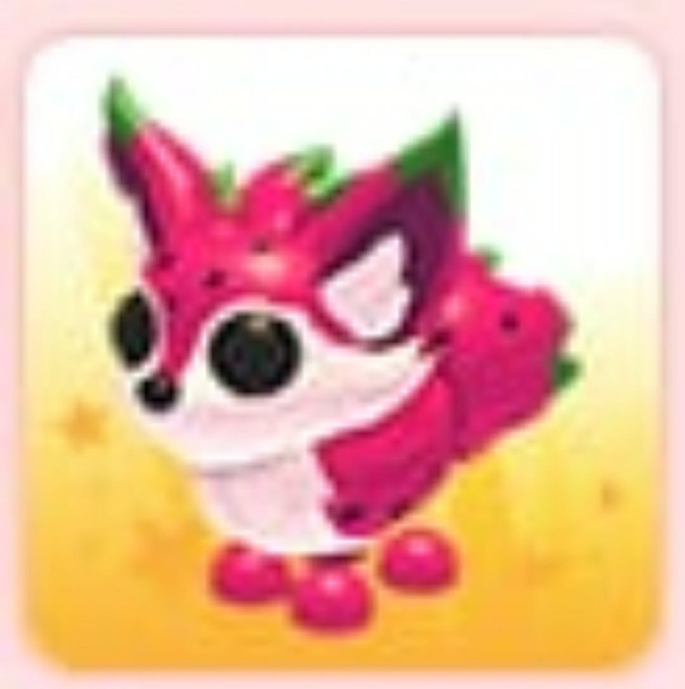 Dragonfruit Fox | Adopt Now