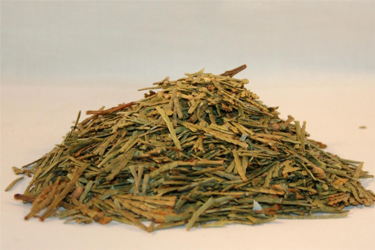 CEDAR Sage for Burning Smudging Incense NEEDLES 1 oz Bag Healing Herb