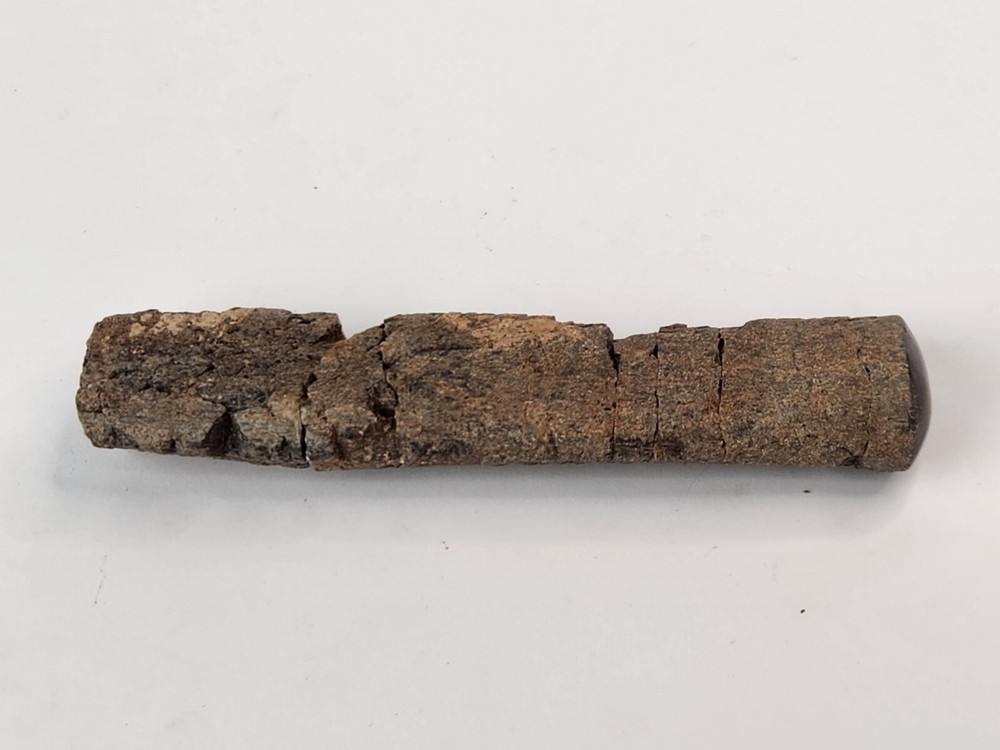 Polished Dinosaur Bone (Rib?) Fossil - Morrison Fm.