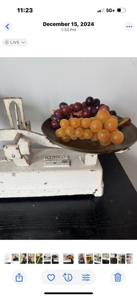 VINTAGE CAST IRON PORTEE MAX SCALE