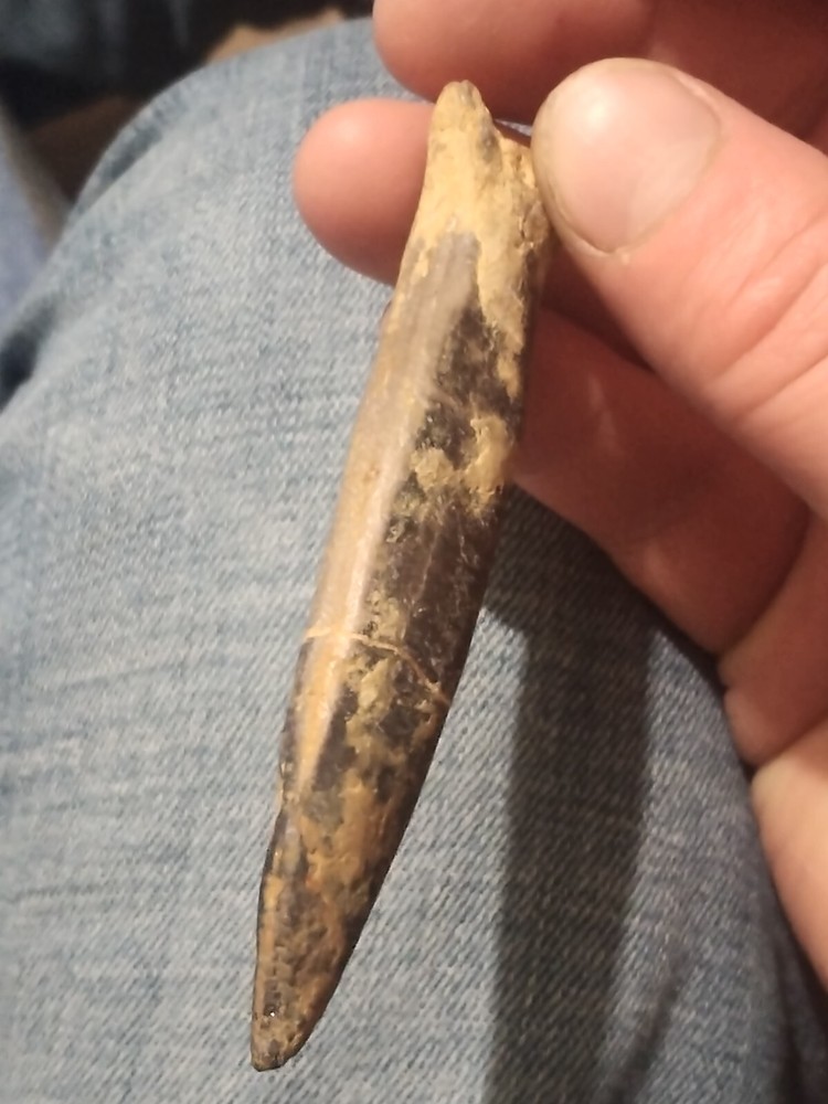 Backalite Spearhead RARE!