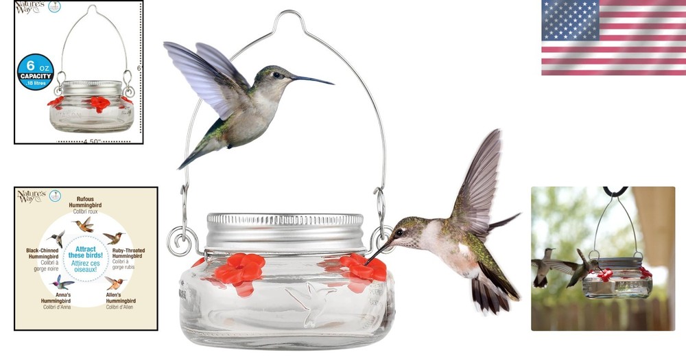 Mason Jar Hummingbird Dish Feeder, Clear
