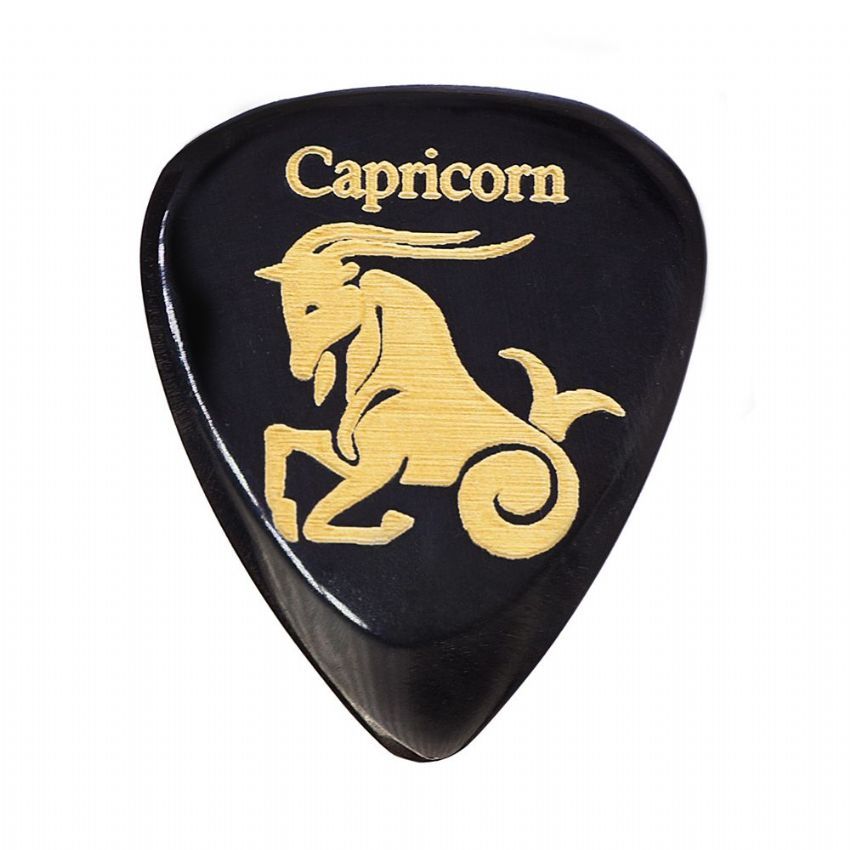 Timber Tones Zodiac Tone Guitar Pick- Capricorn -Single Pick