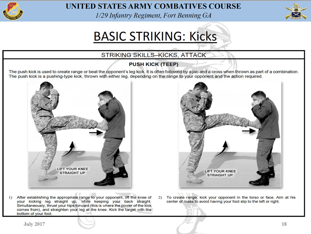 211 Page U.S. Army BASIC COMBATIVES Course Illustrated Training on Data CD