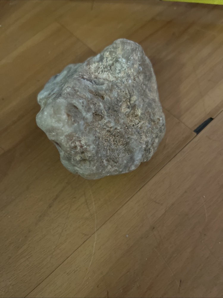 Fossil -skull Arizona Origin
