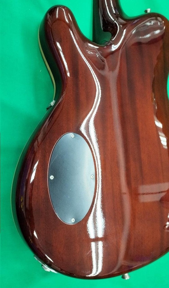 RYOGA CICADA-G2E Electric Guitar