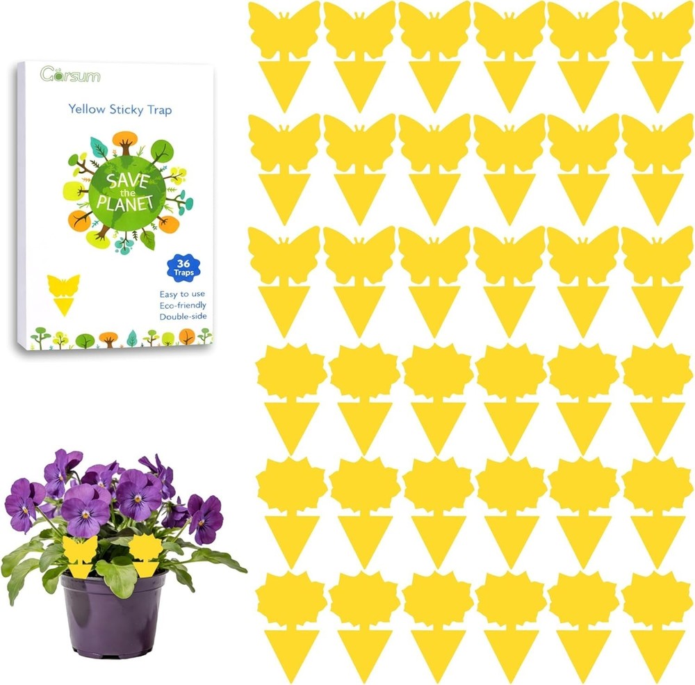 Indoor and Outdoor 36 Pack Gnat Traps - Safe, Effective Yellow Sticky Solution