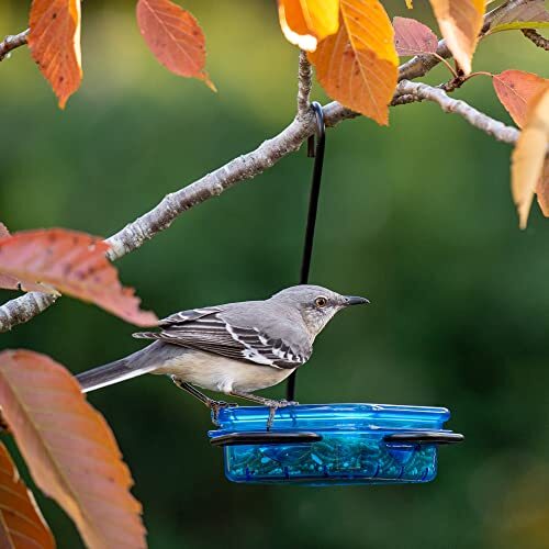 More Birds 38200 Feeder, Blue