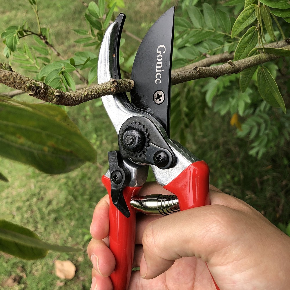gonicc 8" Professional Sharp Bypass Pruning 8 Inch, Red Shears