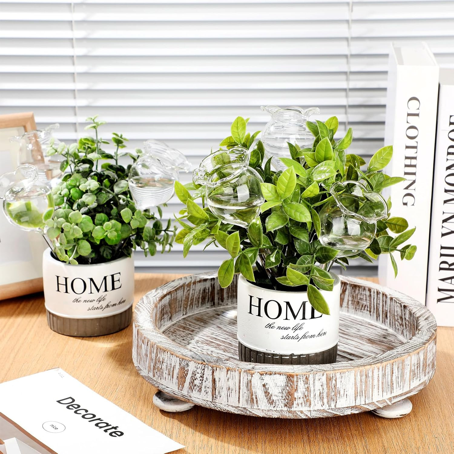 6 Pcs Self Watering Plant Globes Glass Cactus Insert Watering Devices Automatic