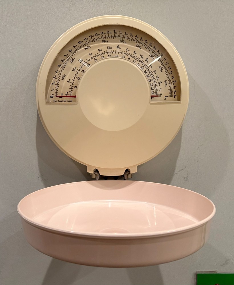 Eva Folding Wall Mount Kitchen Scale