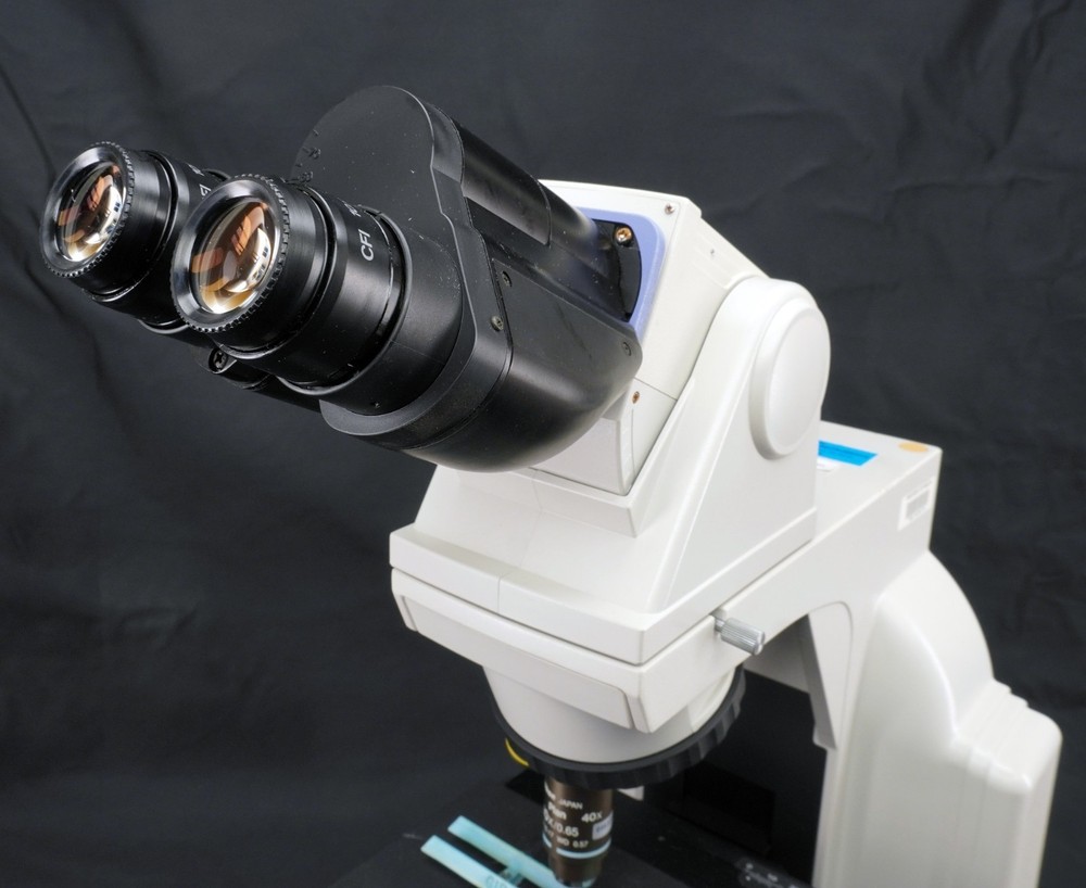 Nikon Eclipse E400 Microscope Ergo Binocular 10x Eye Plan 10/40x Objective Lot B
