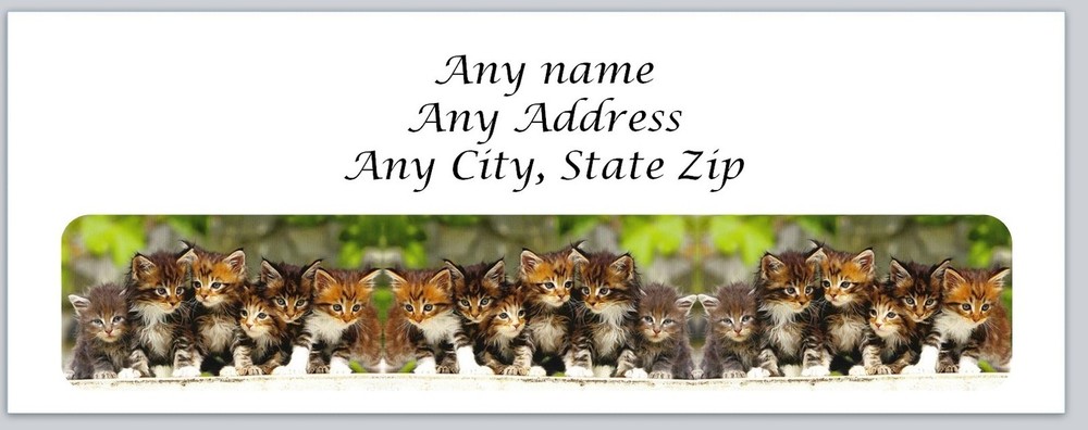 30 Personalized Address Labels Kittens  (ac 526)