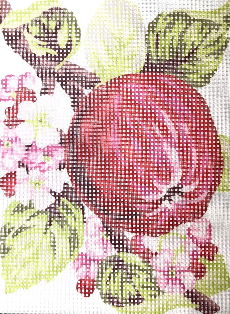 "Apple" Printed Needlepoint Tapestry  Kit  3159K