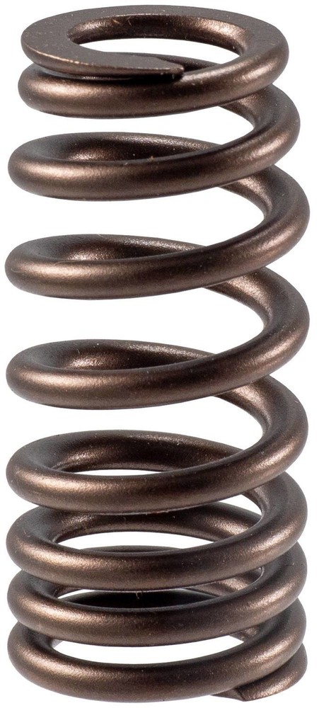 Valve Spring Melling VS2262
