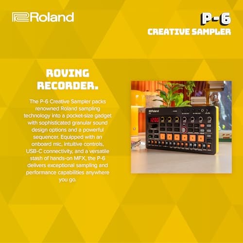 Roland AIRACompact Creative Sampler P-6 Granular Sound Sequencer