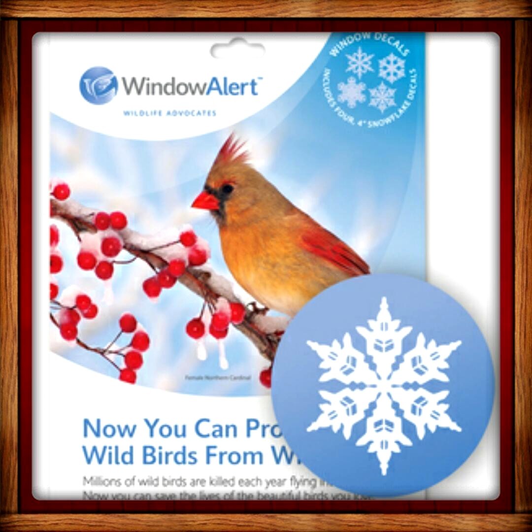Window Alert ANTI-COLLISION CLINGS DECALS SNOWFLAKE SAVE BIRDS PREVENT STRIKES