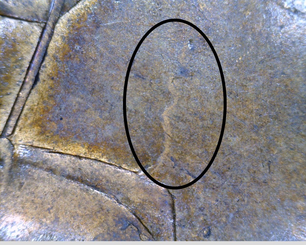 1860 FREEMAN-13 PENNY - WEAK MISSING LCW, SMOKING KNEE - AS IMAGED!! (BBP-082)