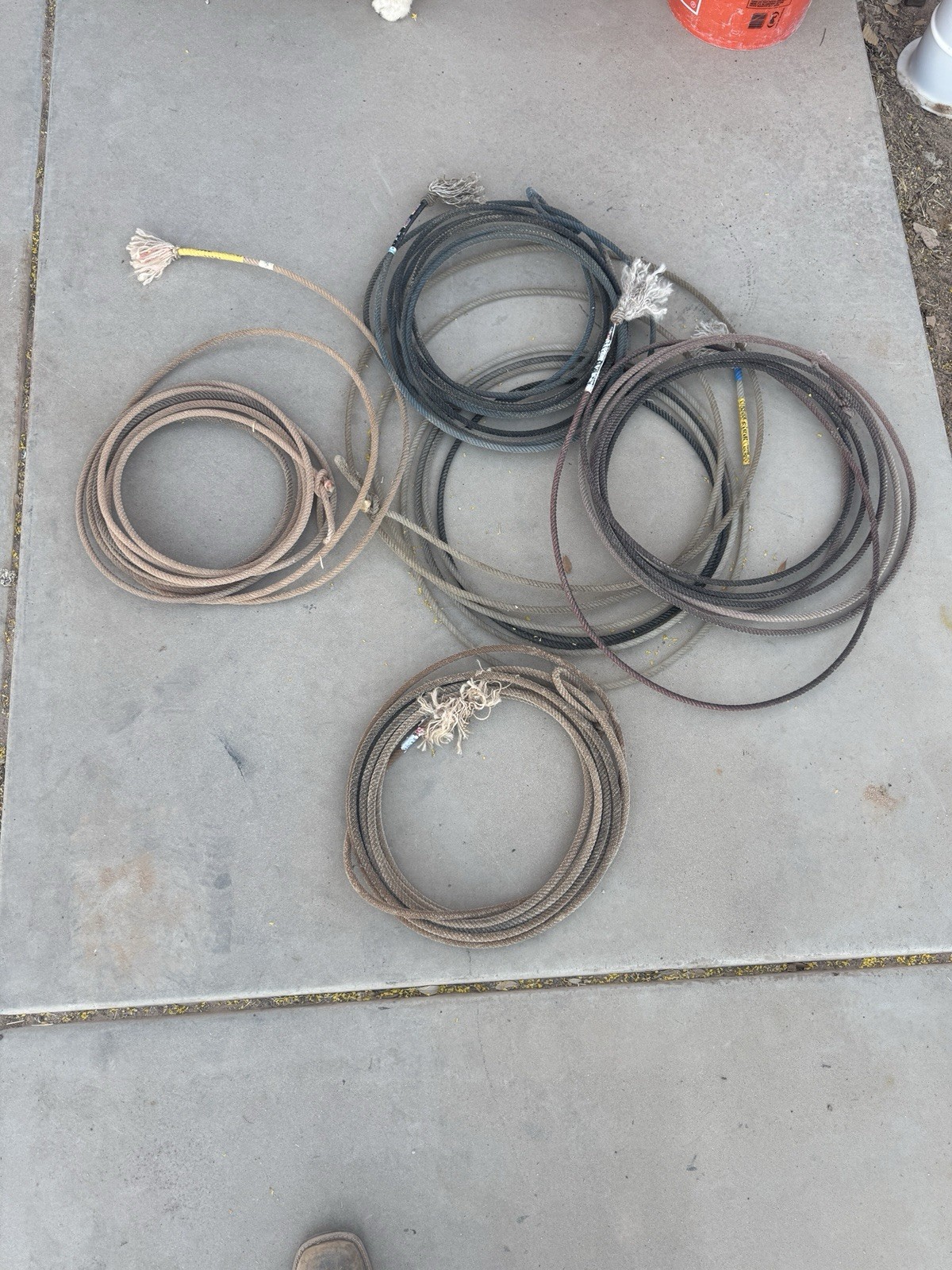 Used Cowboy Team Ropes Lariat Ropes (No Burner)