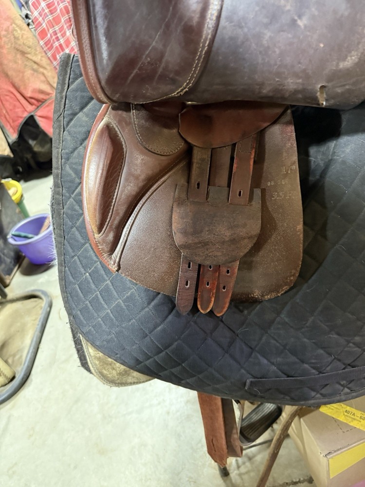 HdR Advantage Jumping Saddle