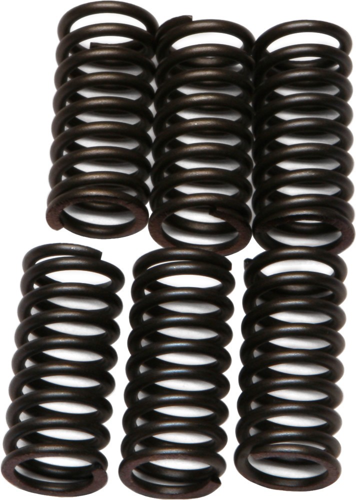 EBC Clutch Spring Set CSK24