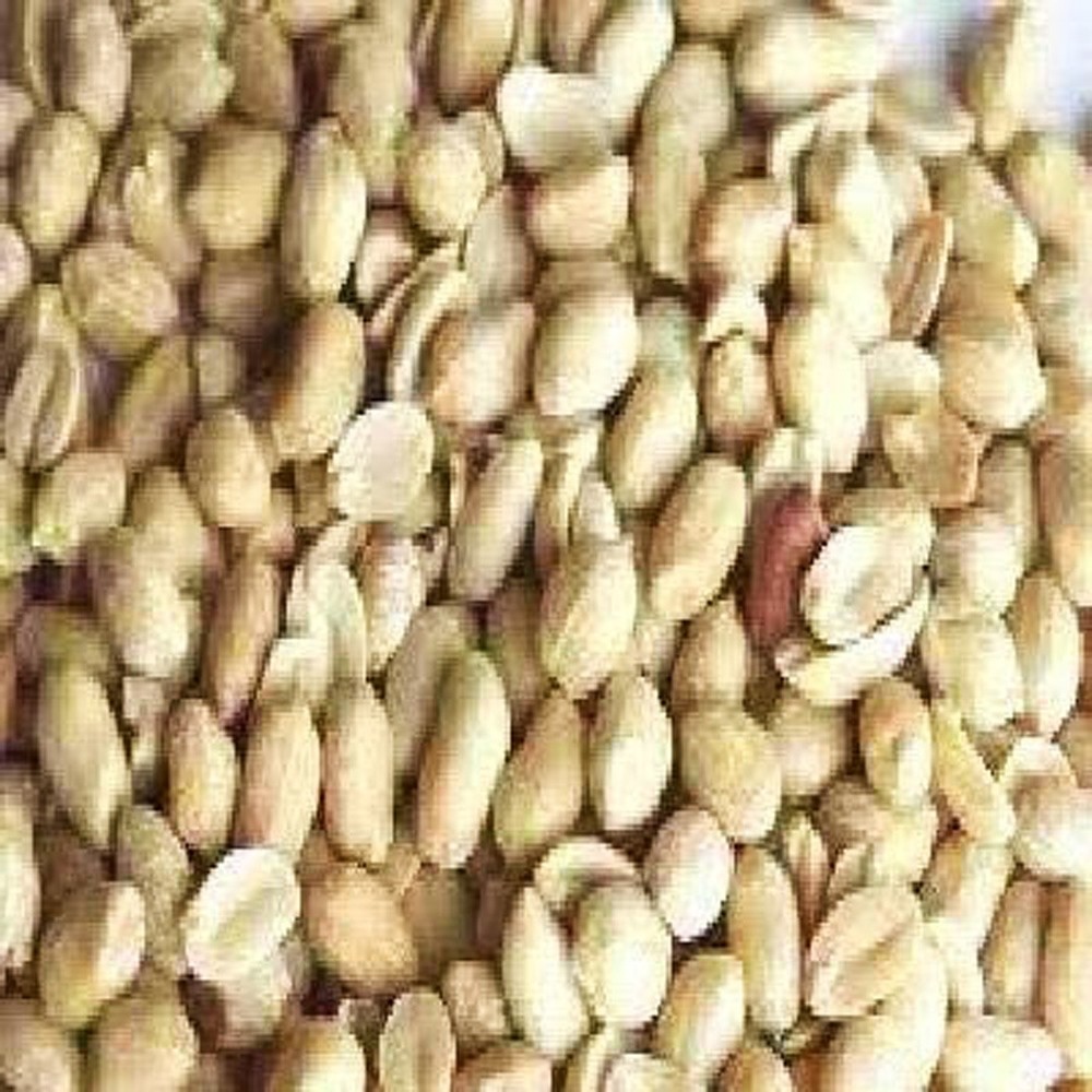 Shelled Roasted Peanuts Bulk