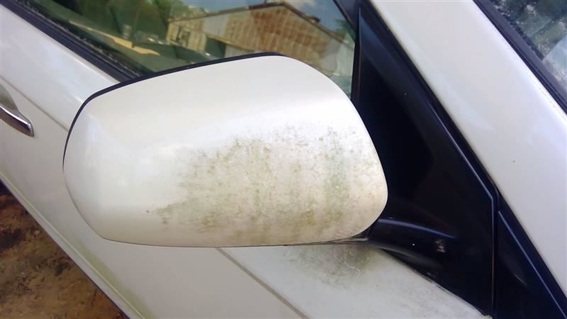 MURANO 2004 Fuse Box Cabin 6754
