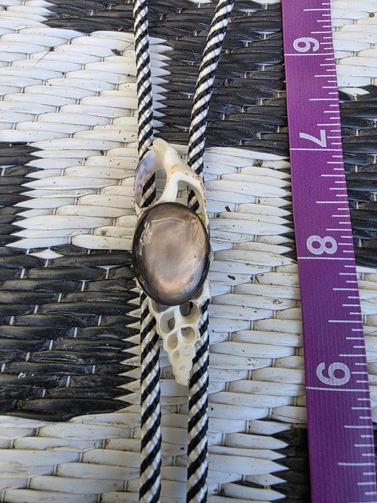Bolo Tie. . Lavander Stone. Shells. 34"
