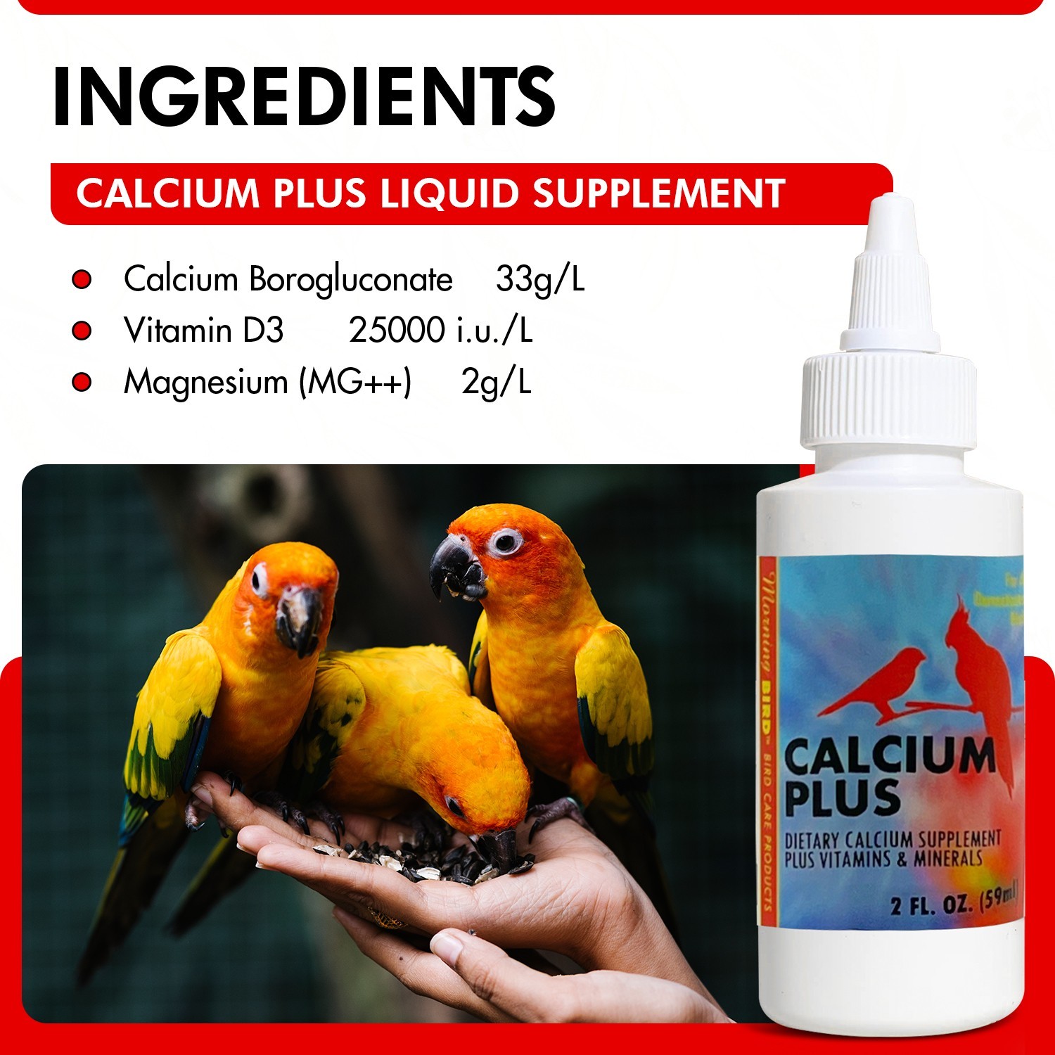 Morning Bird Calcium Plus Liquid Supplement for Birds Plus Vitamins & Minerals