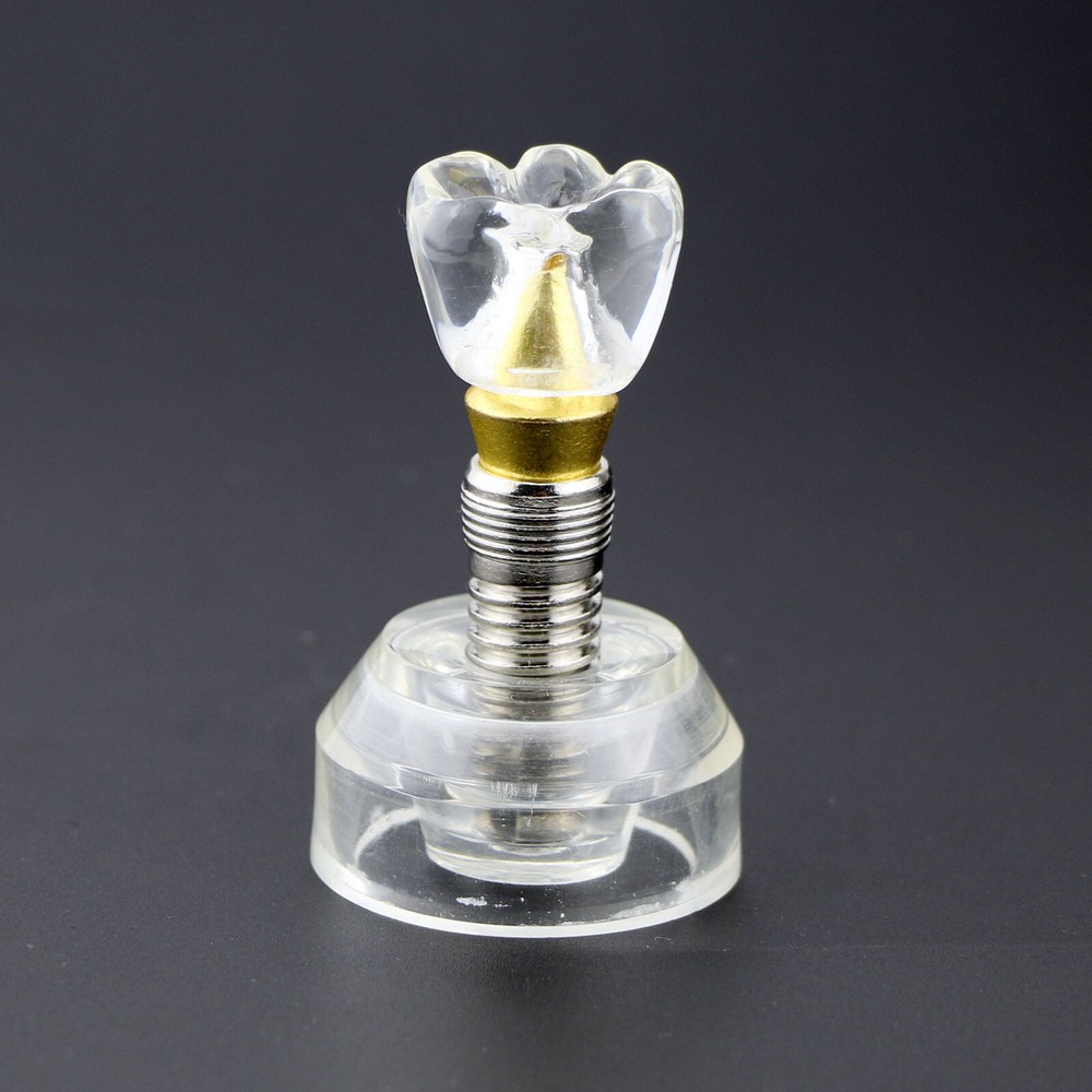 Dental Implant DemonstrationTeeth Study Teach Crown Model Acrylic Teeth Study