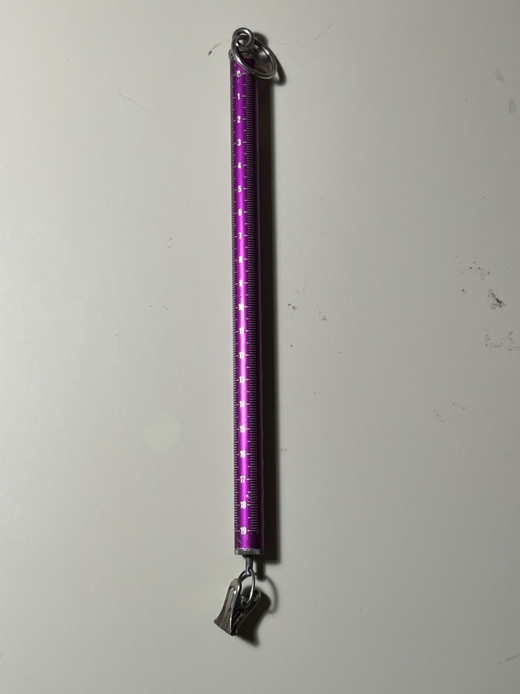 Pesola Light-Line Spring Scale 500g