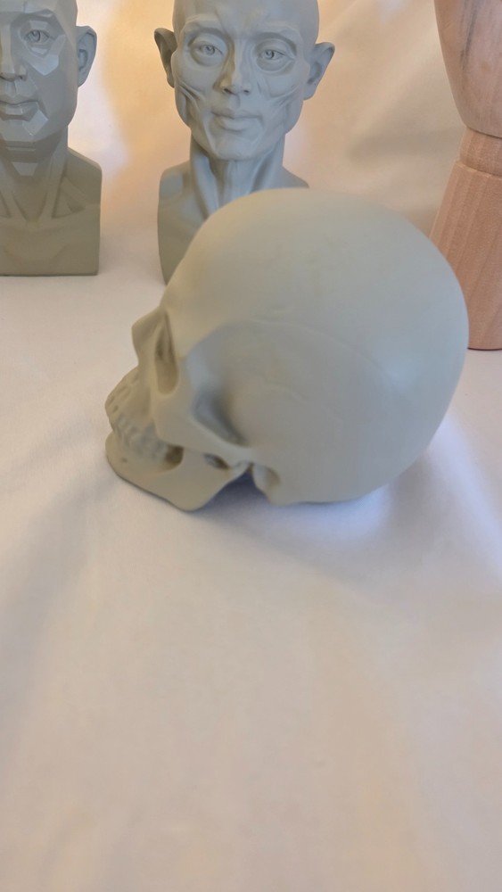 Mini Drawing Aid Model Set -- Hands, Head, and Skull