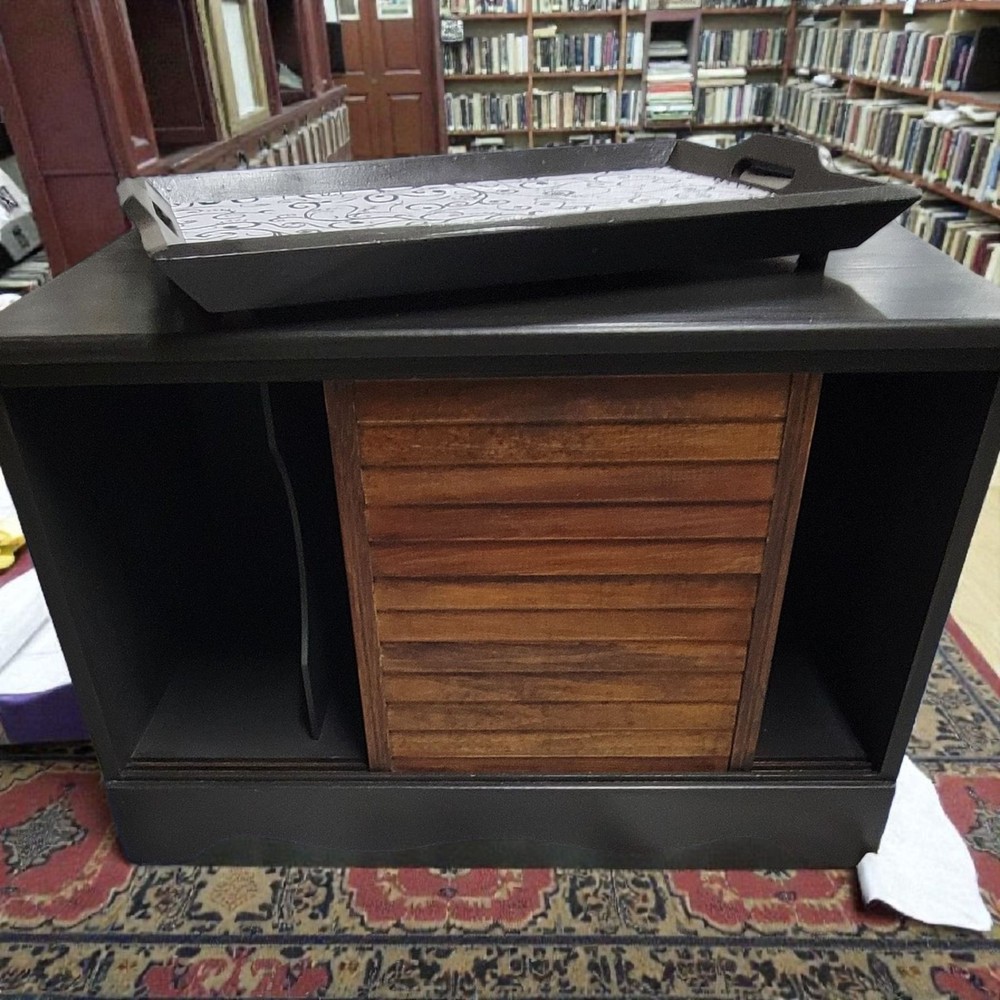 Album Storage or Mini Bar