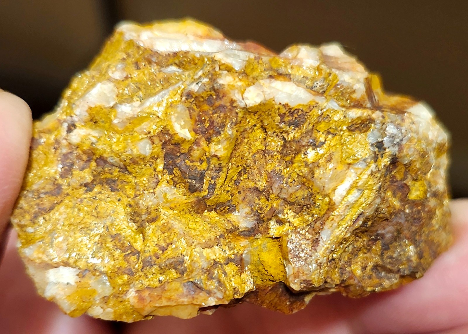 Gold Ore Specimen /Quality Visible Gold