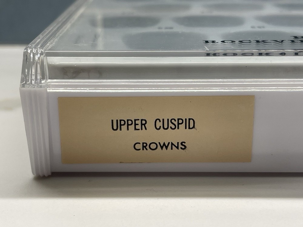 Upper Cuspid Crowns by Rugby Labs plus Extras 🦷