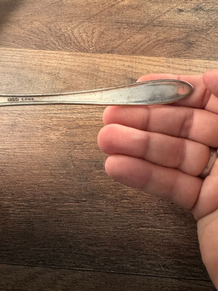 National Silver Co SIlverplated Soup Ladle Spoon Bonbon Server