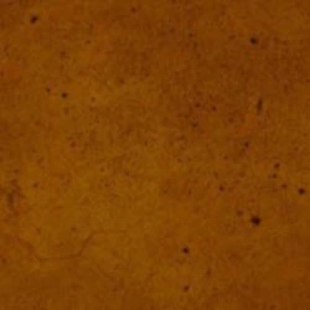 Ten Second Color - Hazelnut - 1 Gallon