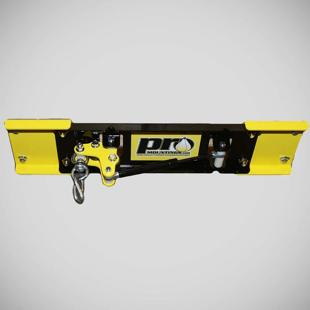 Boxing ProMountings CM-2000GS Ceiling Mount