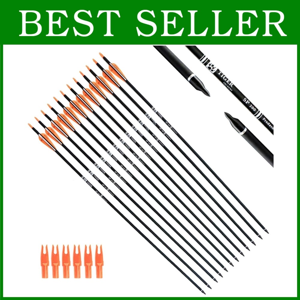 12 Pack 30" Carbon Arrows for Hunting & Target Practice