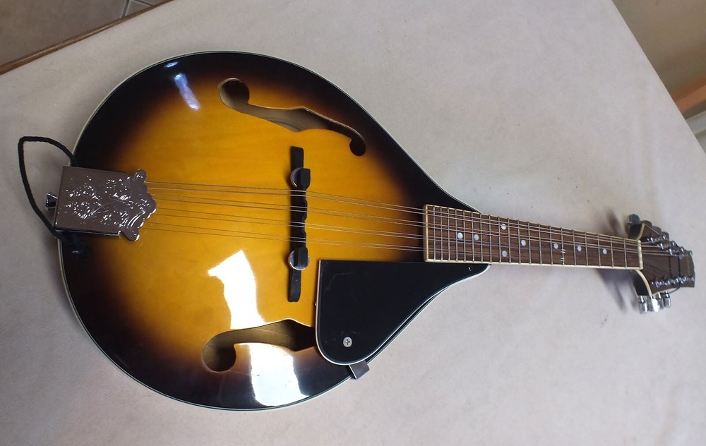 Nice Johnson Oval Hole Mandolin Model MA-100